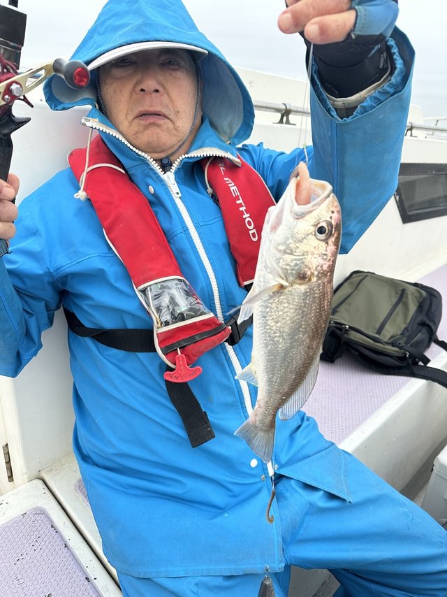 イシモチ(シログチ)