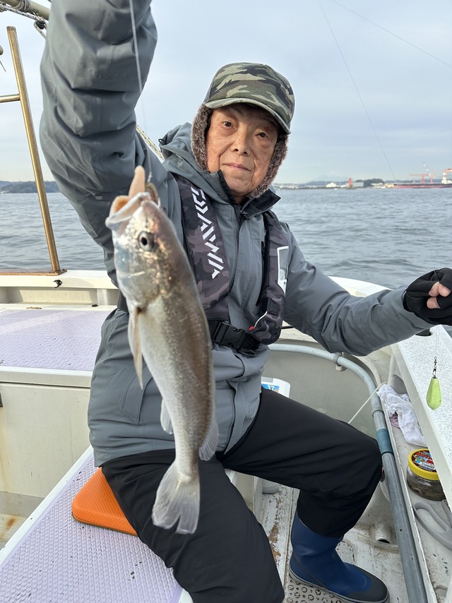 イシモチ(シログチ)