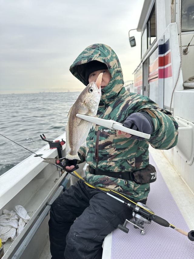 イシモチ(シログチ)