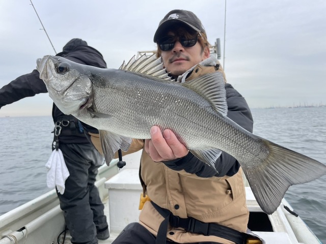 シーバス(スズキ)