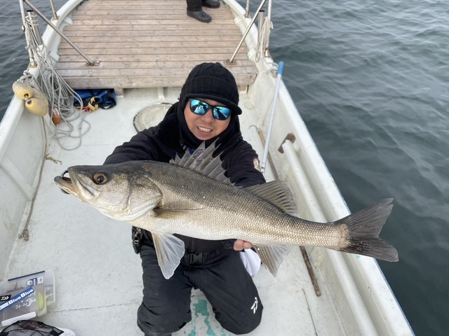 シーバス(スズキ)