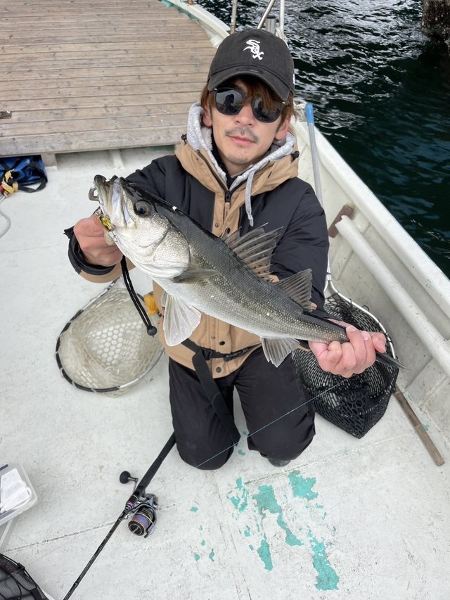 シーバス(スズキ)