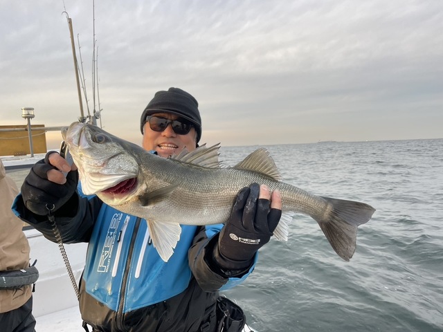 シーバス(スズキ)