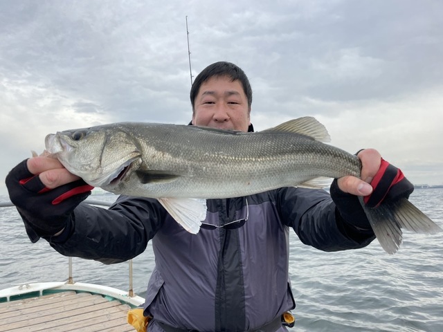 シーバス(スズキ)