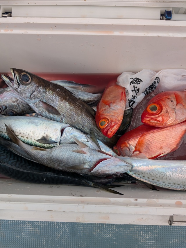 クロムツ・キンメダイ