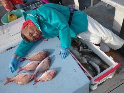 マダイ・アジ(マアジ)