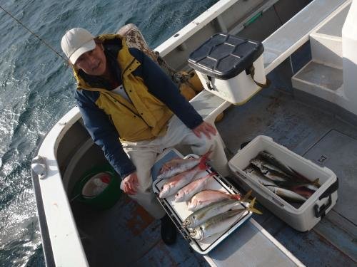 マダイ・アジ(マアジ)