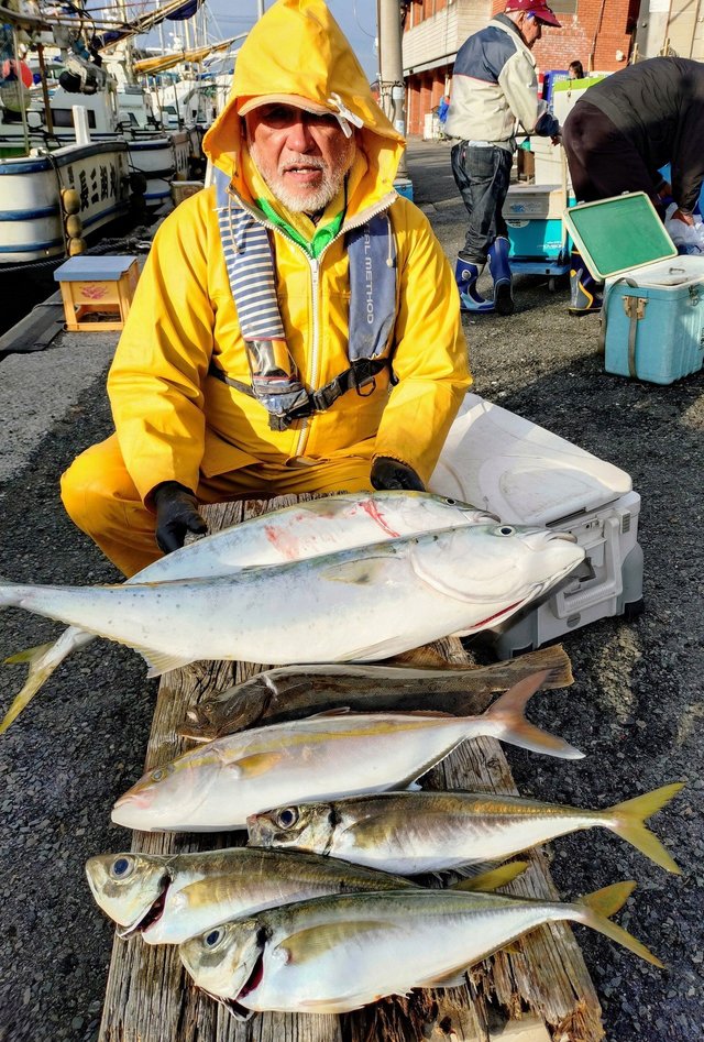 アジ(マアジ)・ワラサ(ブリ)・カンパチ・ヒラメ