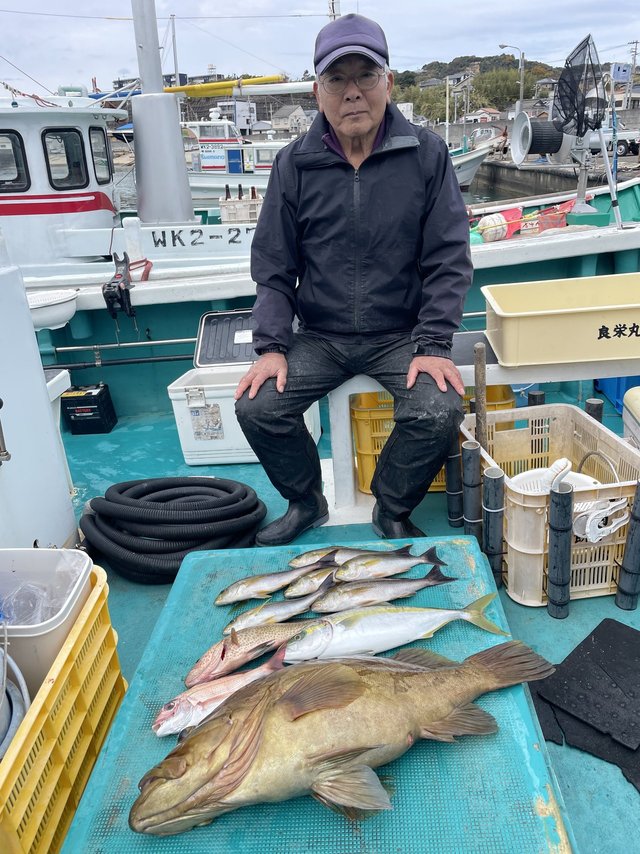 マダイ・ホウキハタ・オオモンハタ