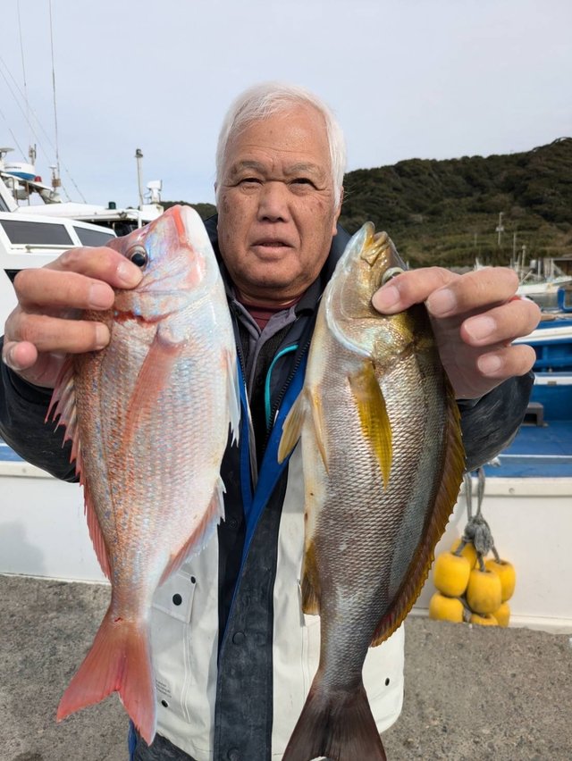 ハナダイ(チダイ)・イサキ