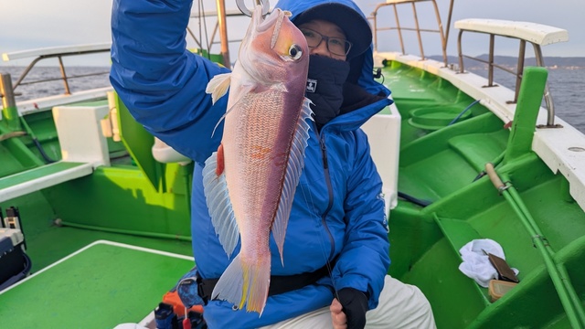 アマダイ(アカアマダイ)