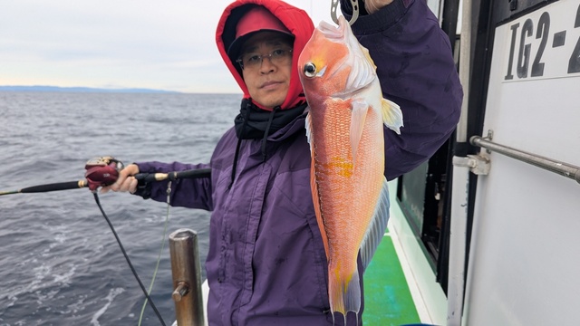 アマダイ(アカアマダイ)