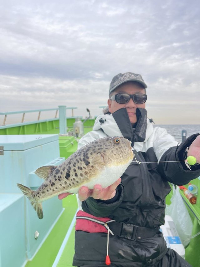 フグ(アカメフグ)