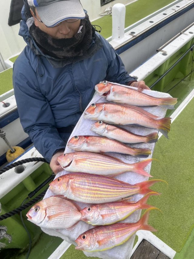 ハナダイ(チダイ)・アマダイ(アカアマダイ)・イトヨリ(イトヨリダイ)