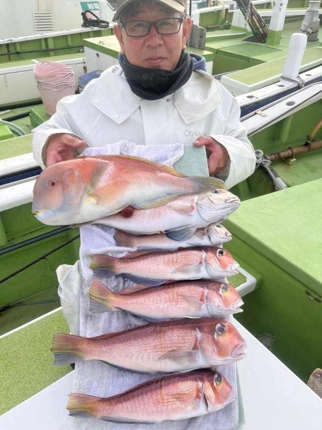 アマダイ(アカアマダイ)・シロアマダイ・イラ