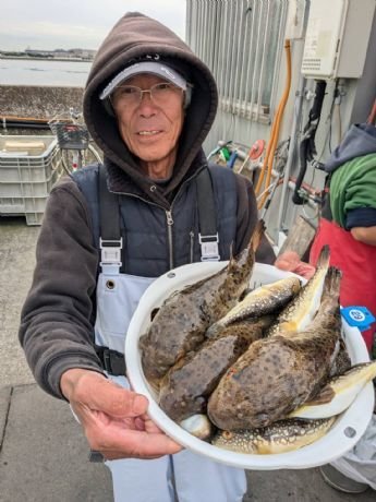 アカメフグ・コモンフグ・ショウサイフグ