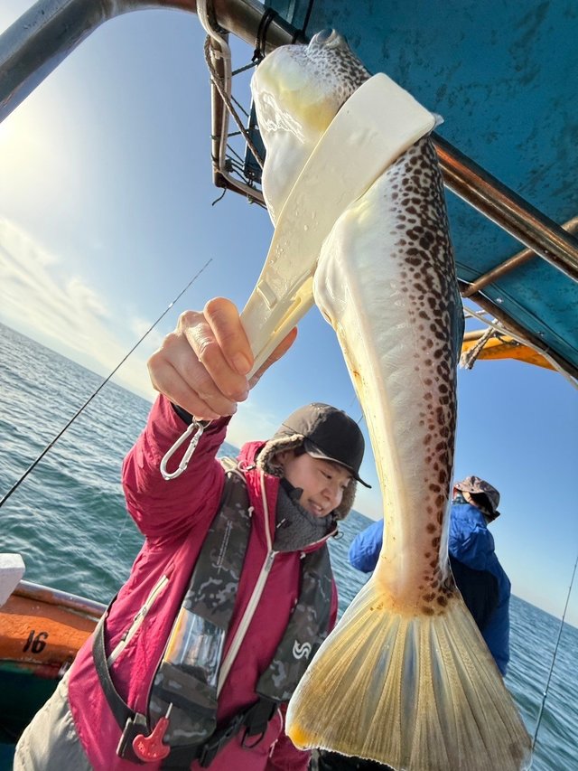 フグ(ショウサイフグ)