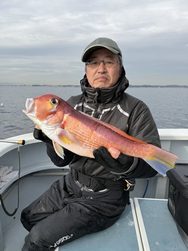 アマダイ(アカアマダイ)