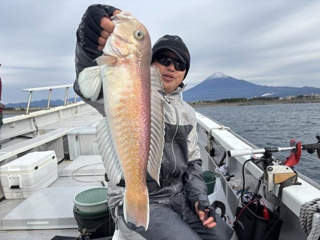 アマダイ(アカアマダイ)