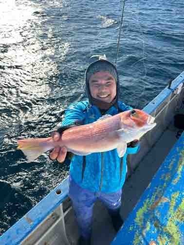 アマダイ(アカアマダイ)