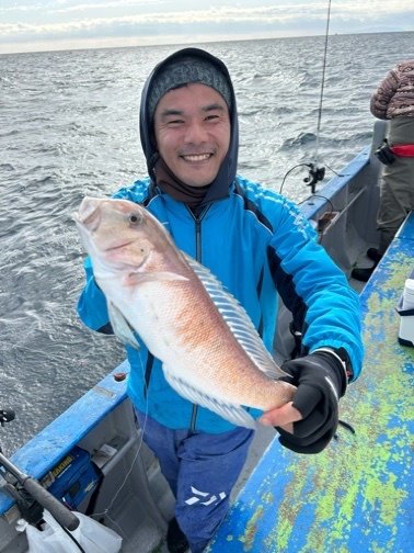 アマダイ(アカアマダイ)