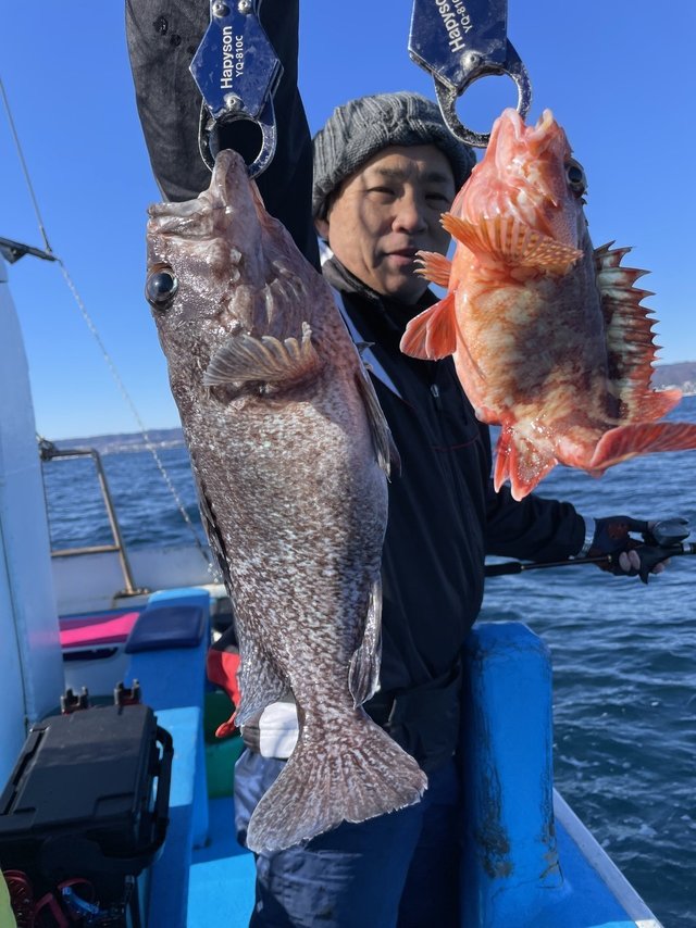 マゾイ(キツネメバル)