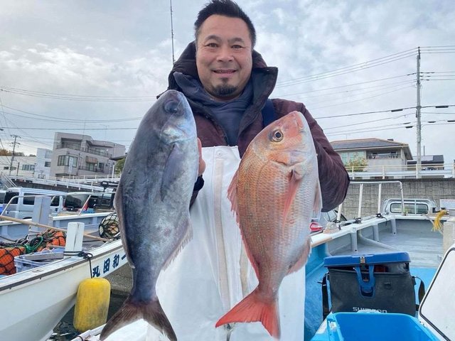 マダイ・メダイ