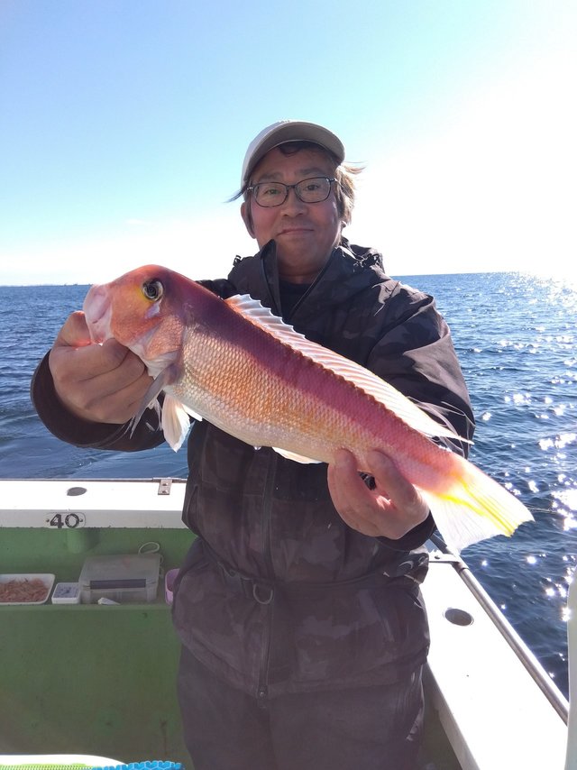 アマダイ(アカアマダイ)