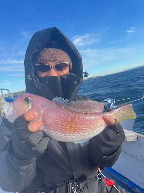 アマダイ(アカアマダイ)