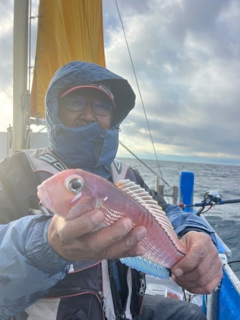 アマダイ(アカアマダイ)