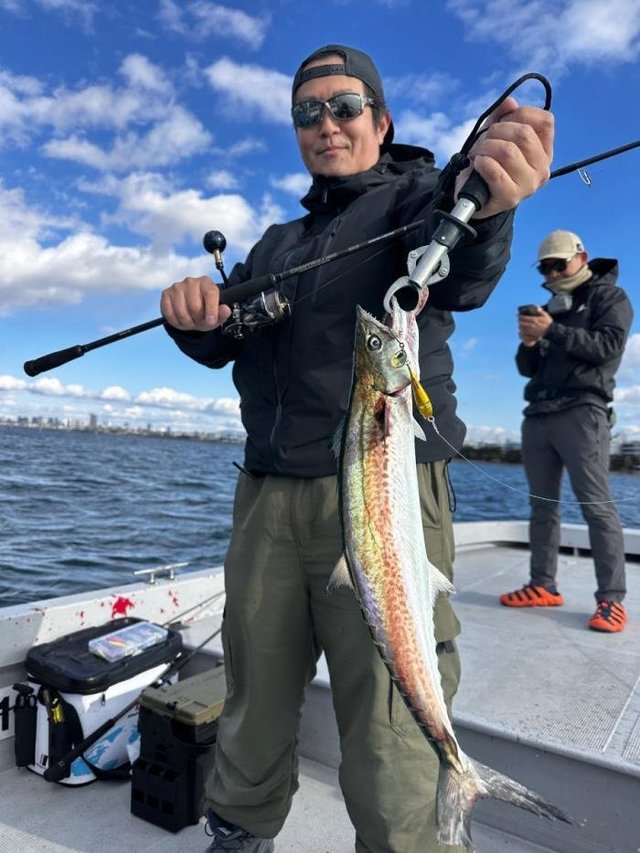 サゴシ(サワラ)