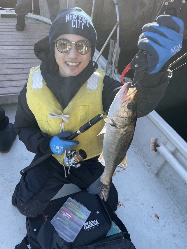 シーバス(スズキ)