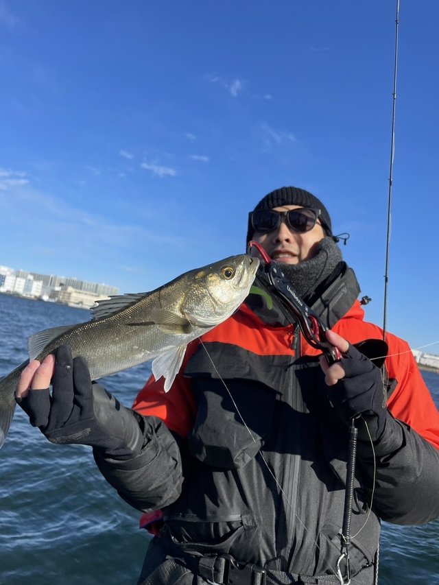 シーバス(スズキ)