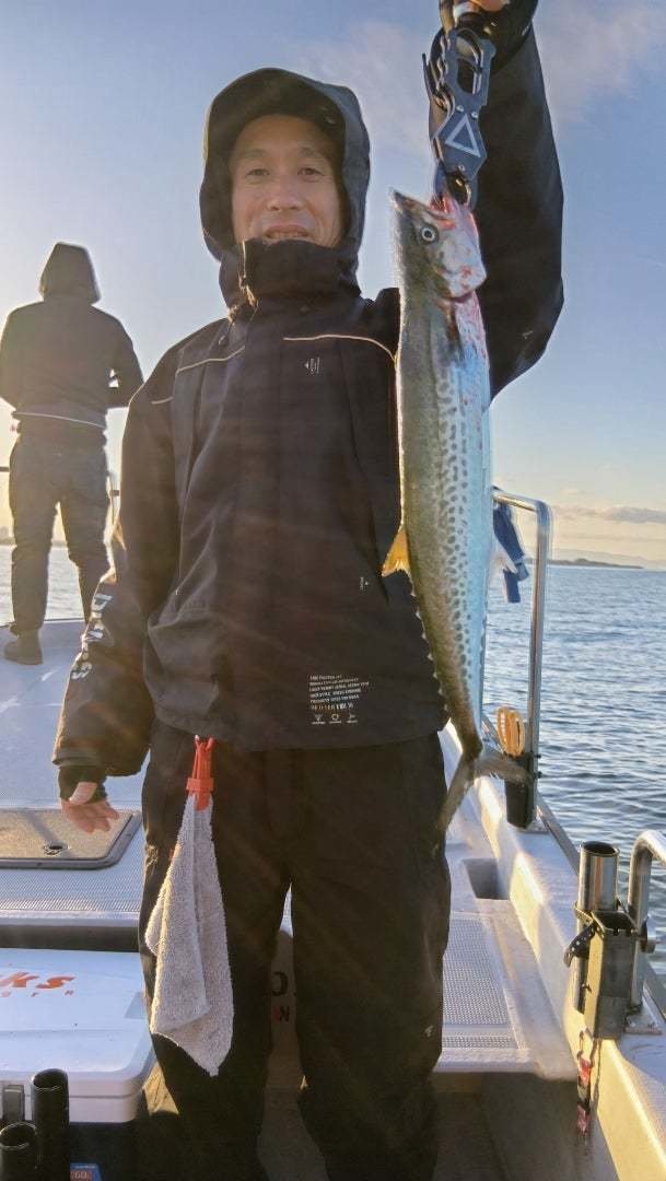 サゴシ(サワラ)