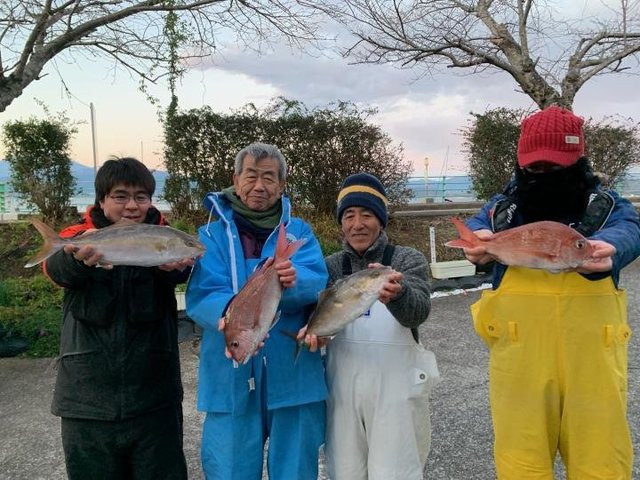 マダイ・カンパチ・イサキ・サバ(ゴマサバ)