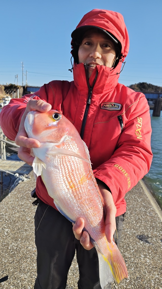 アマダイ(アカアマダイ)