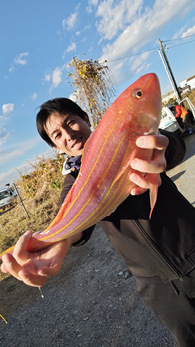 イトヨリ(イトヨリダイ)