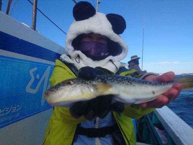 ショウサイフグ