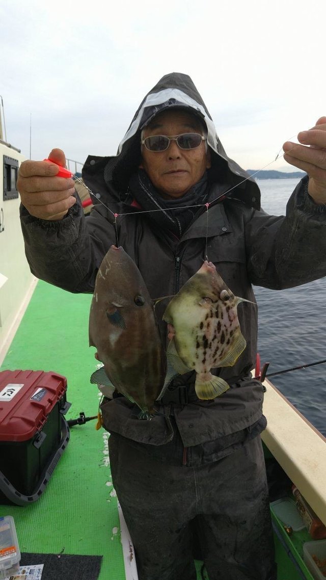 カワハギ・ウマヅラハギ