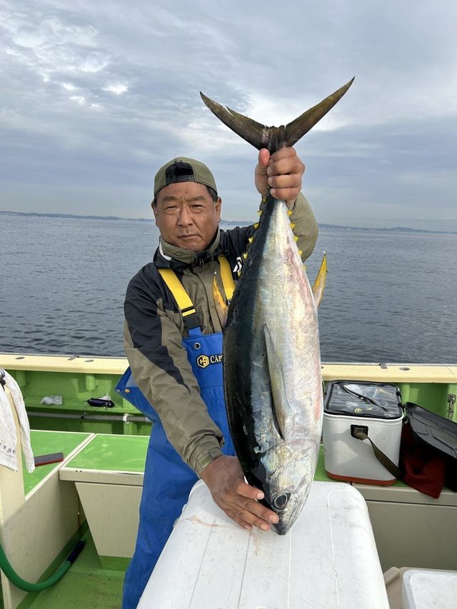 キメジ(キハダ)