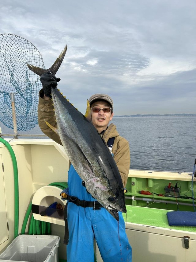 キメジ(キハダ)