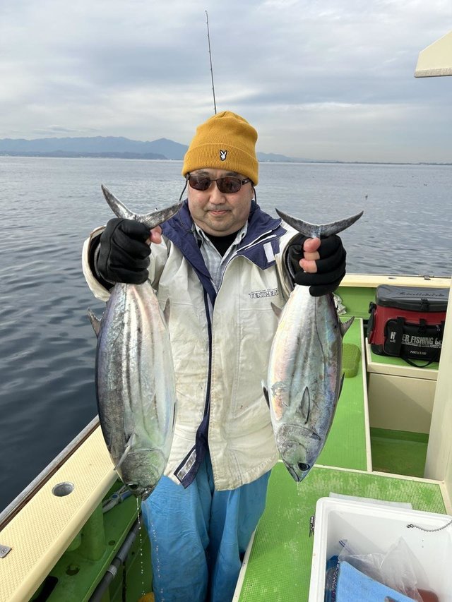 ホンガツオ(カツオ)