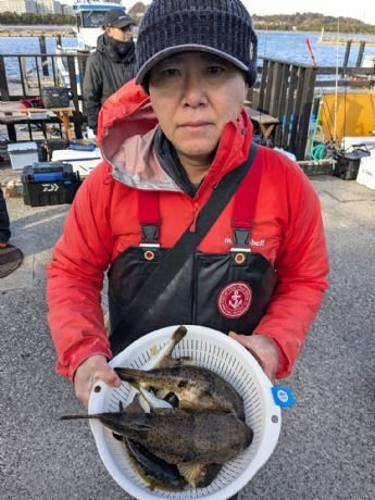 アカメフグ・コモンフグ・ショウサイフグ