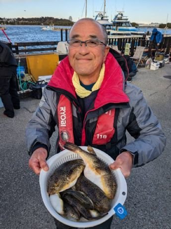 アカメフグ・コモンフグ・ショウサイフグ