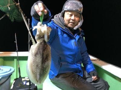 モンゴウイカ(カミナリイカ)