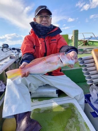 アマダイ(アカアマダイ)