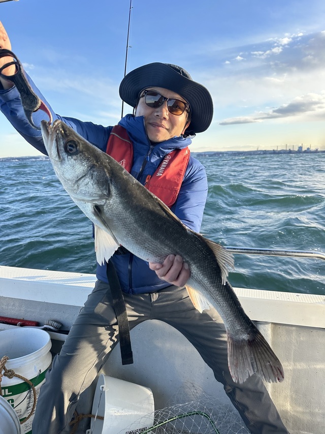 シーバス(スズキ)