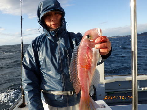 アマダイ(アカアマダイ)