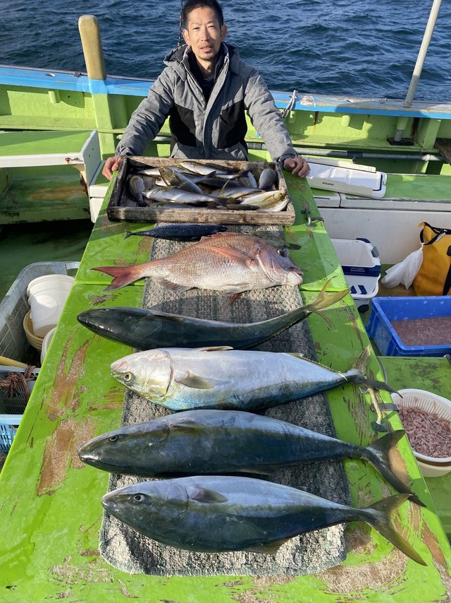 マダイ・ワラサ(ブリ)・イサキ