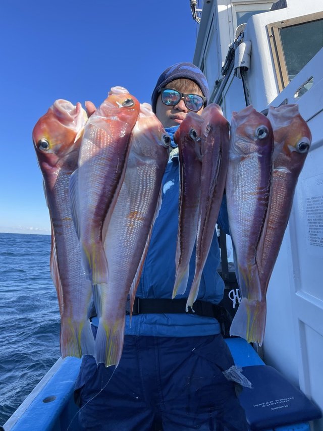 アマダイ(アカアマダイ)